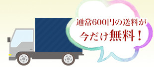 期間限定　送料無料特典